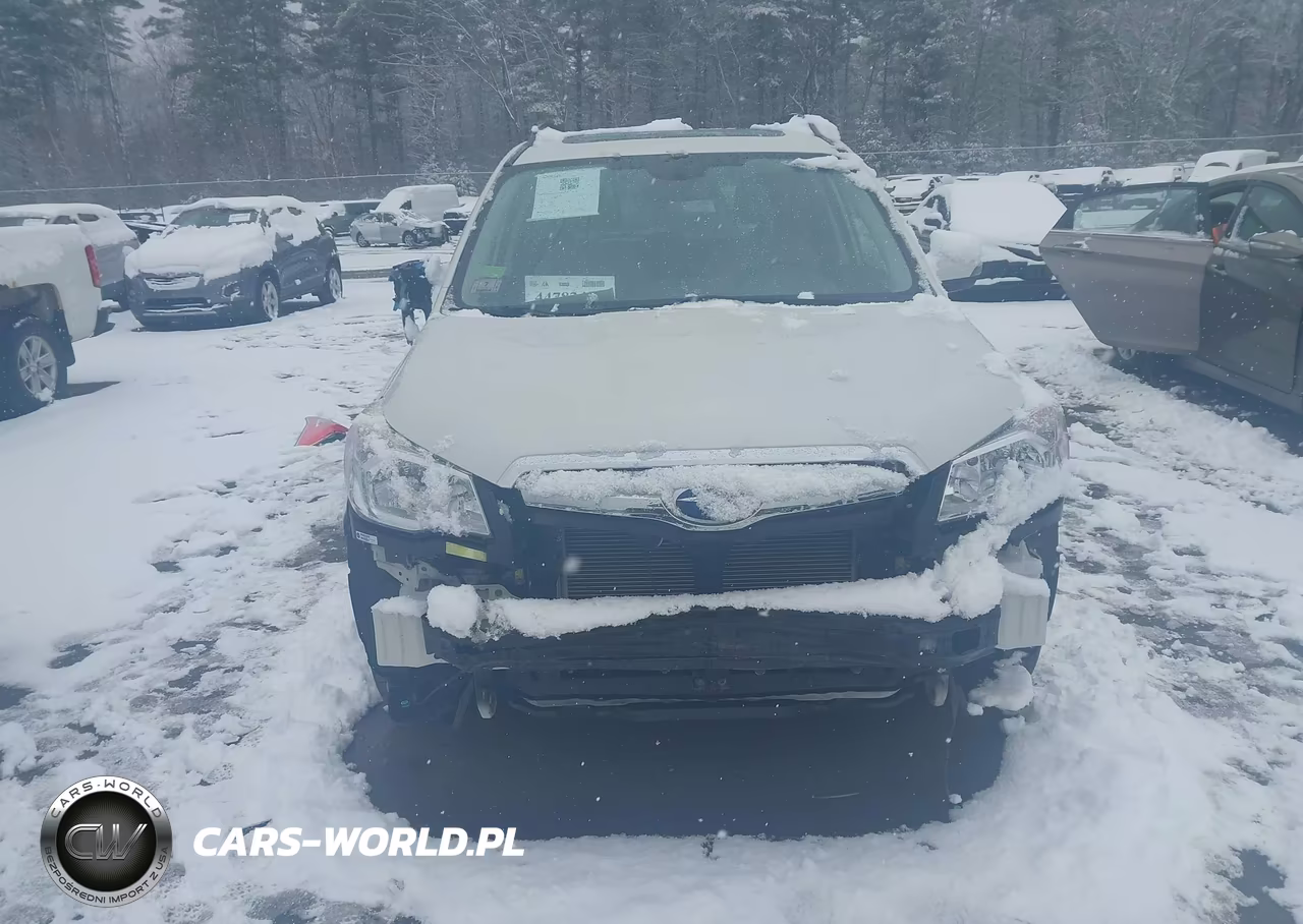 2016 Subaru Forester 2.5I Touring VIN:JF2SJAXC0GH447467 - 13