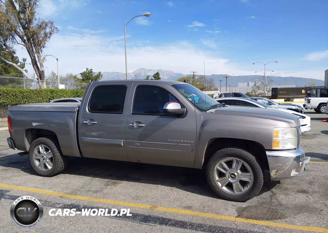 2013 Chevrolet Silverado 1500 Lt VIN:3GCPCSE02DG119518 - 13