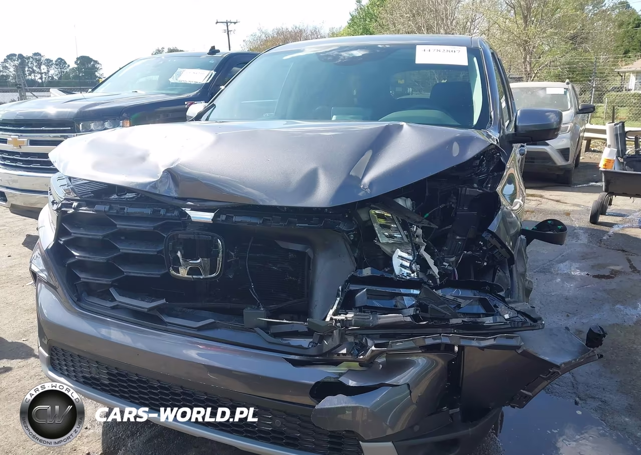 2025 Honda Pilot Ex-L VIN:5FNYG1H44SB177067 - 12