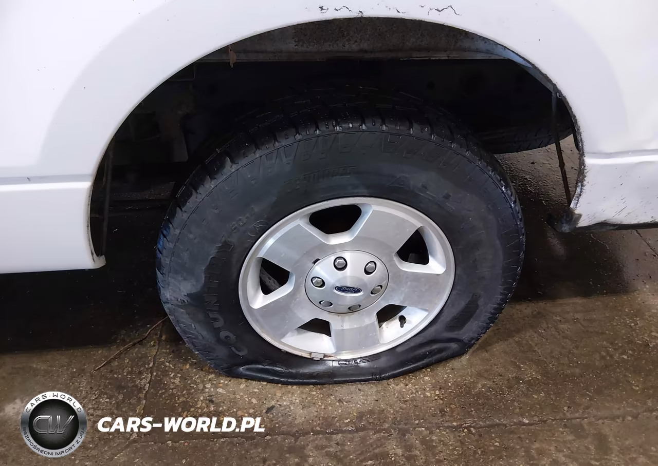 2007 Ford F-150 Fx4-Stx-Xl-Xlt VIN:1FTRX14W97FA93955 - 17