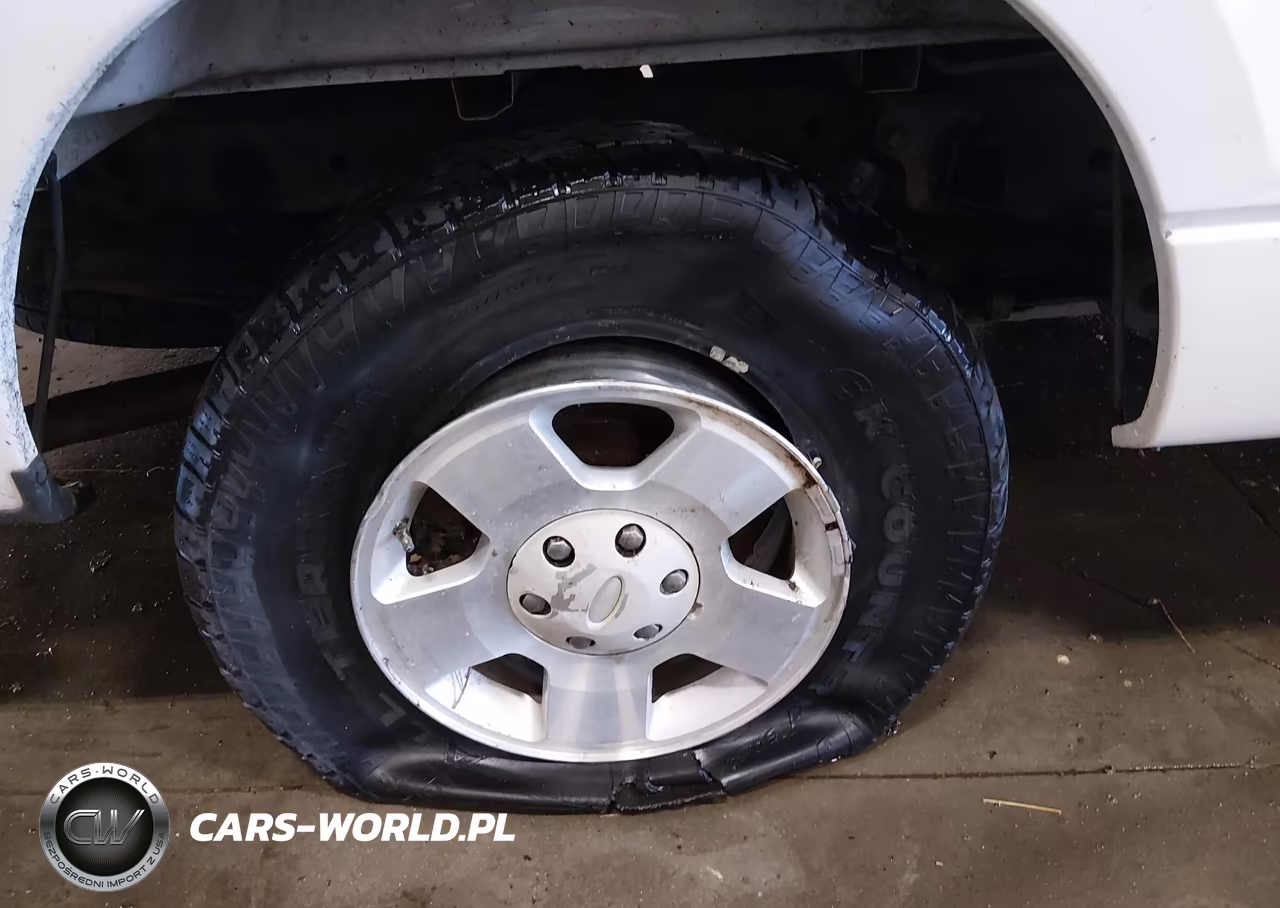 2007 Ford F-150 Fx4-Stx-Xl-Xlt VIN:1FTRX14W97FA93955 - 18
