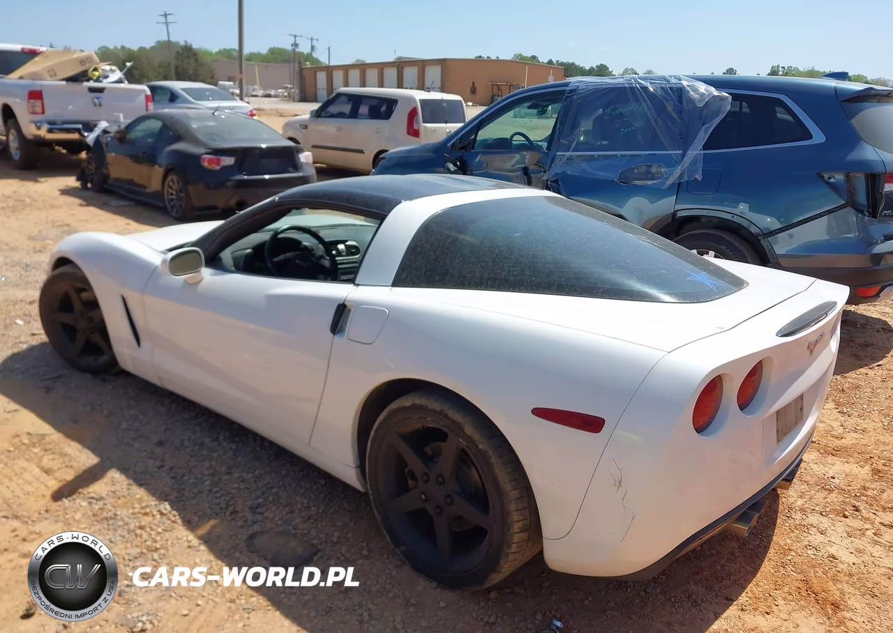 2005 Chevrolet Corvette VIN:1G1YY24U255103539 - 3