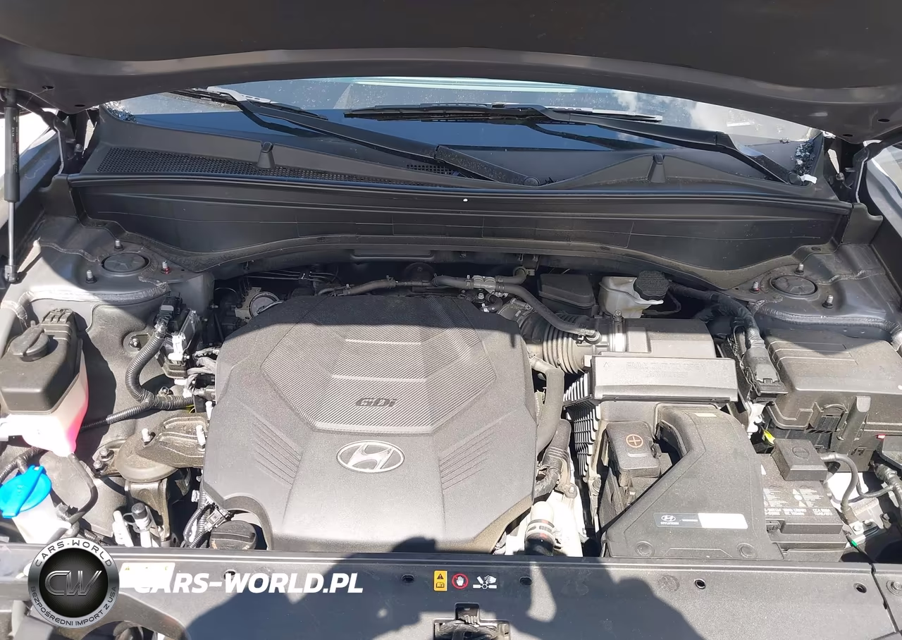 2022 Hyundai Palisade Sel VIN:KM8R4DHE3NU423105 - 10