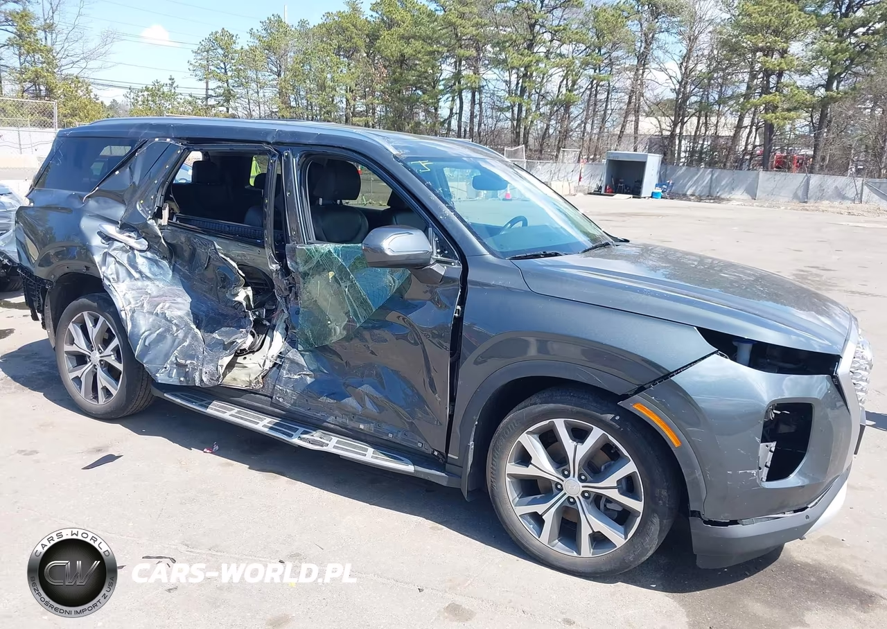 2022 Hyundai Palisade Sel VIN:KM8R4DHE3NU423105 - 6