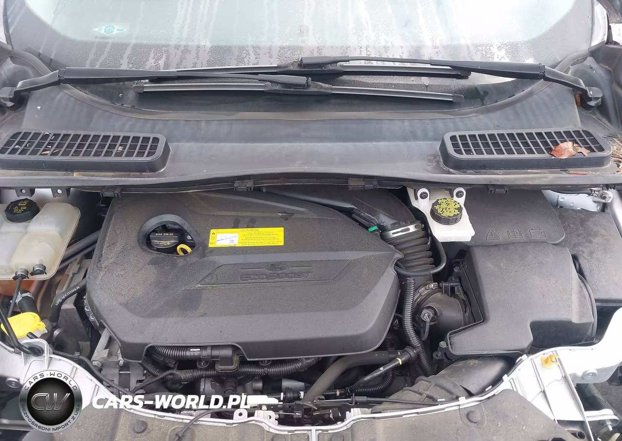 2016 Ford Escape Se VIN:1FMCU0GX1GUB20067 - 10