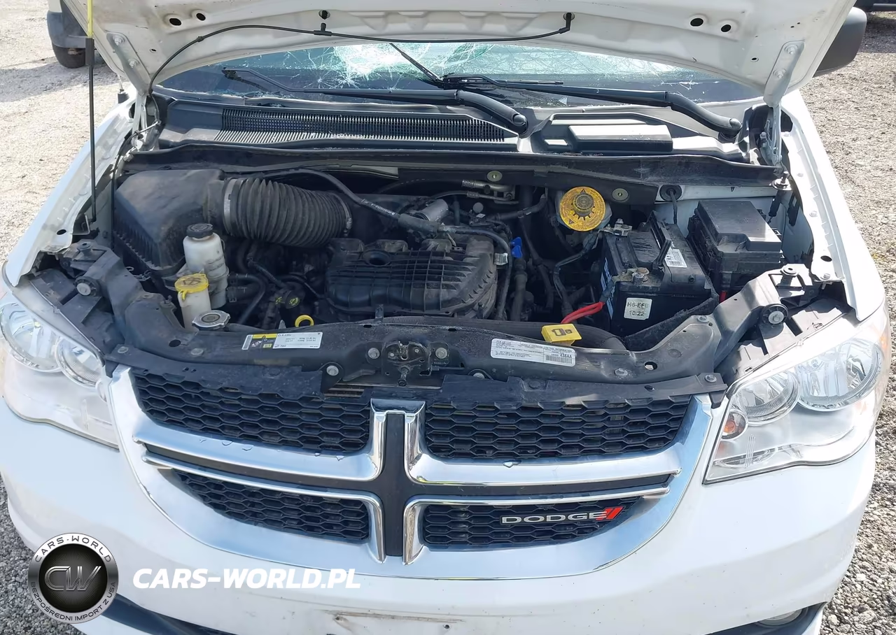 2019 Dodge Grand Caravan Sxt VIN:2C4RDGCG7KR672448 - 10