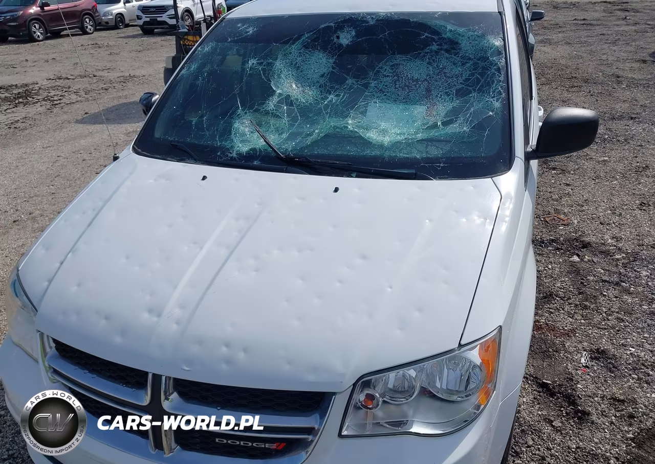 2019 Dodge Grand Caravan Sxt VIN:2C4RDGCG7KR672448 - 6