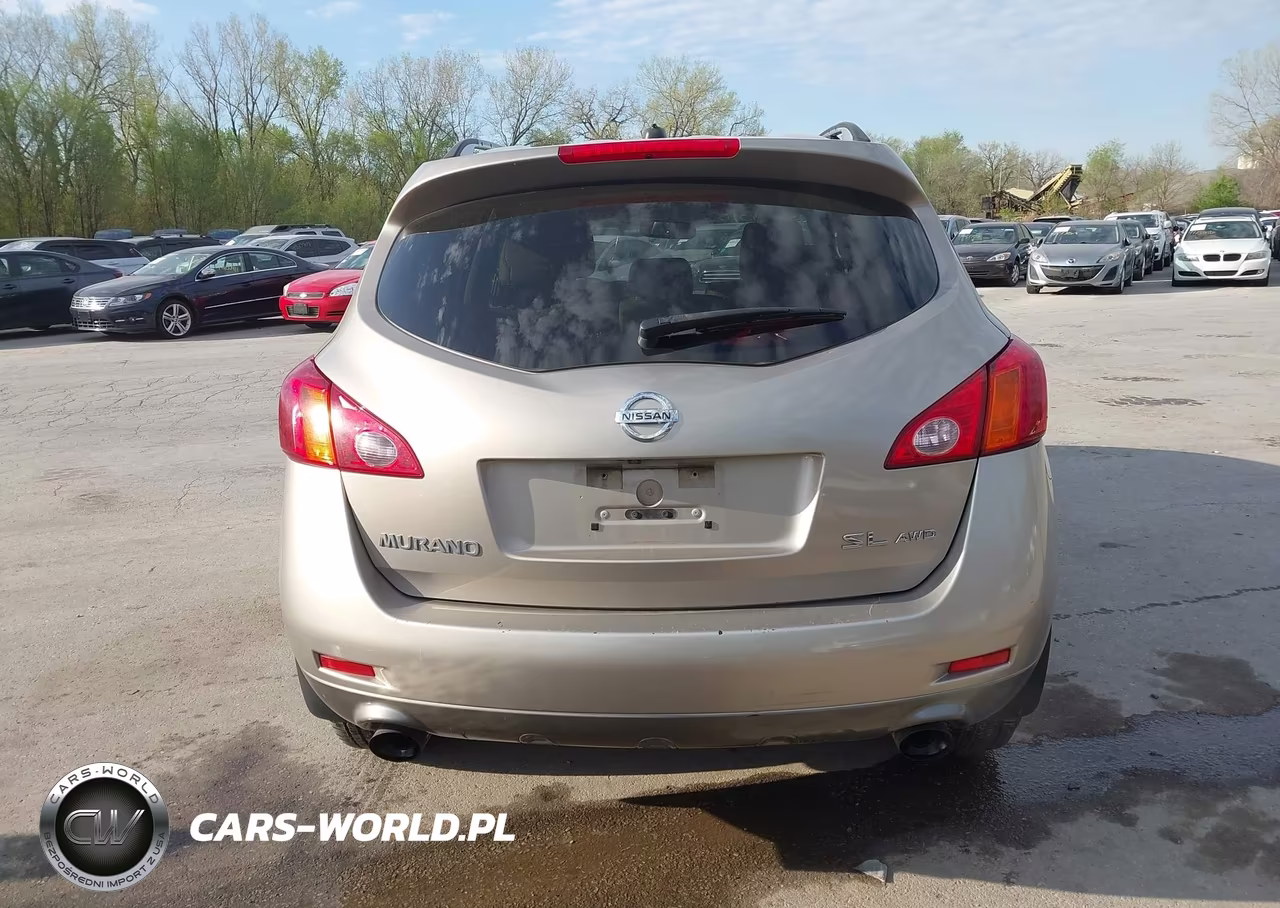 2010 Nissan Murano Sl VIN:JN8AZ1MW9AW132546 - 17