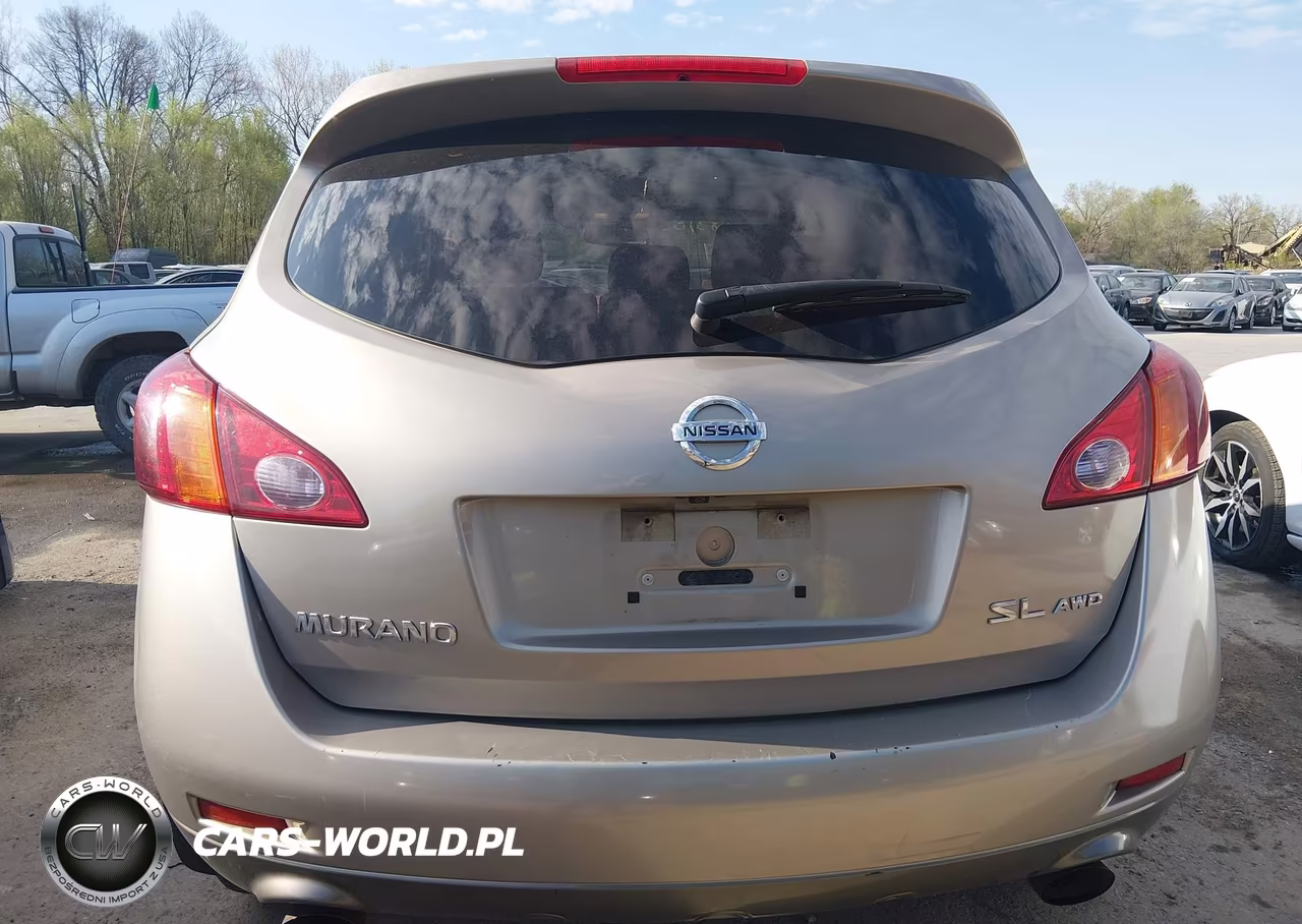 2010 Nissan Murano Sl VIN:JN8AZ1MW9AW132546 - 18