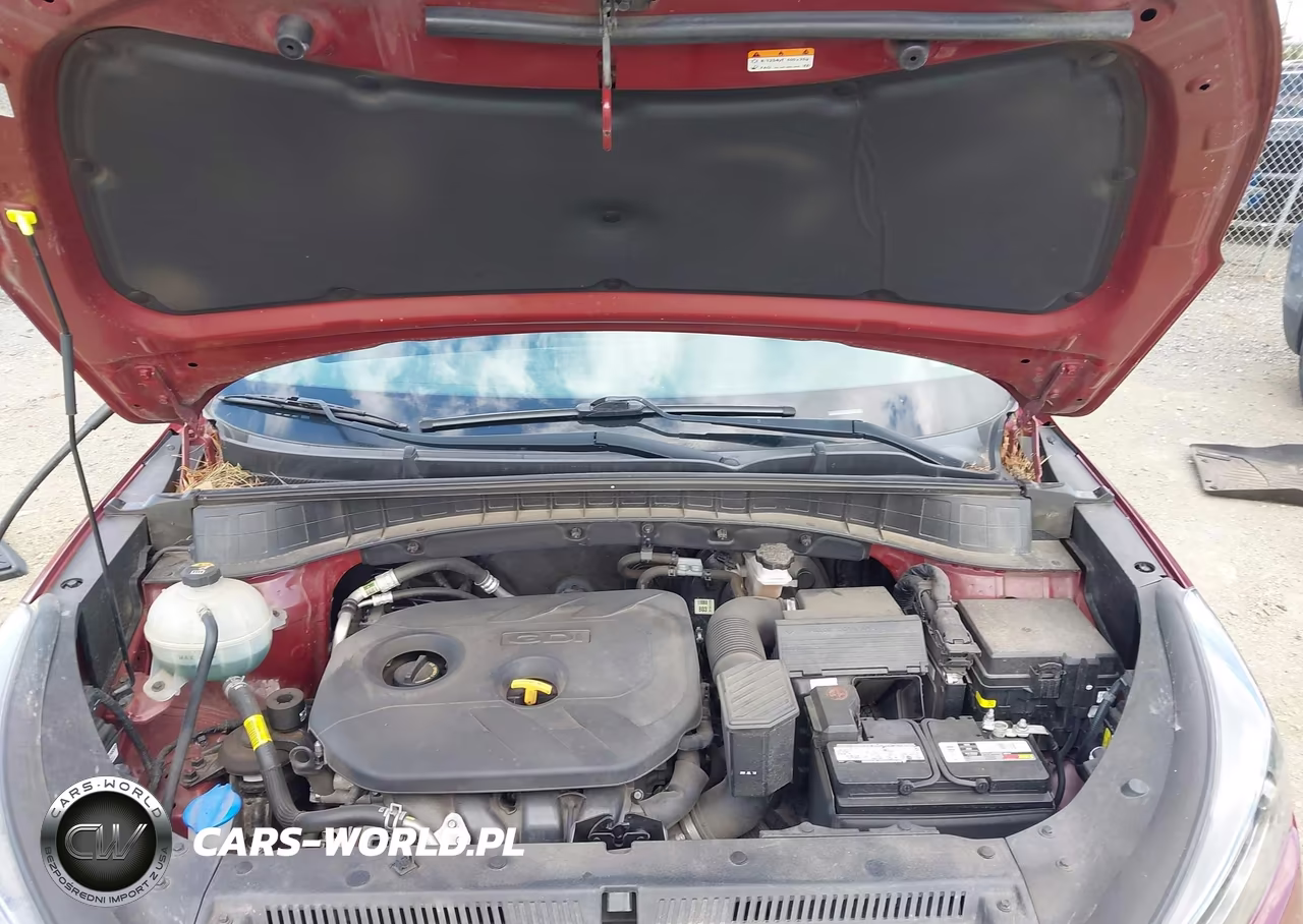 2019 Hyundai Tucson Value VIN:KM8J3CA41KU076719 - 10