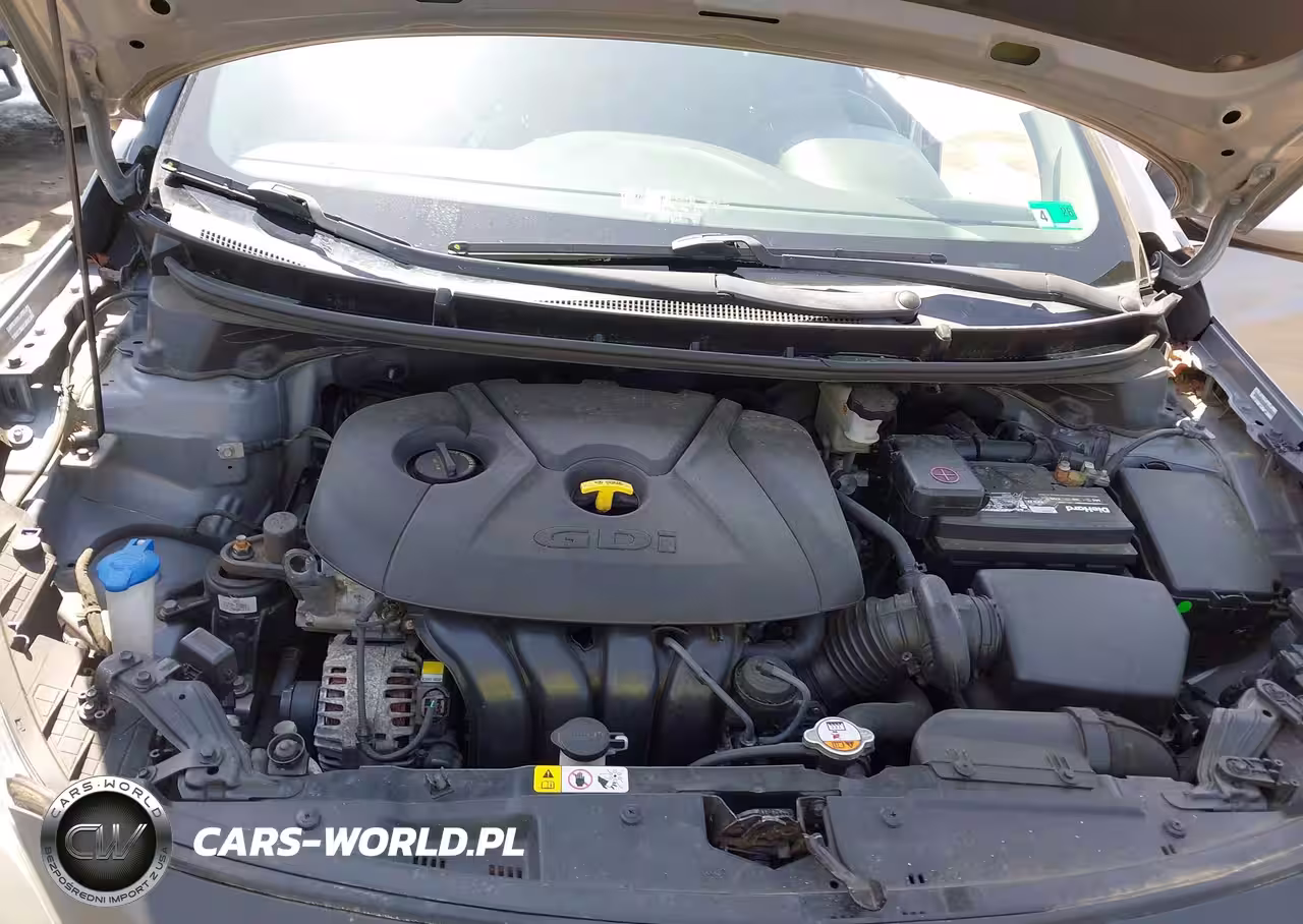 2014 Hyundai Elantra Gt VIN:KMHD35LH6EU166655 - 10