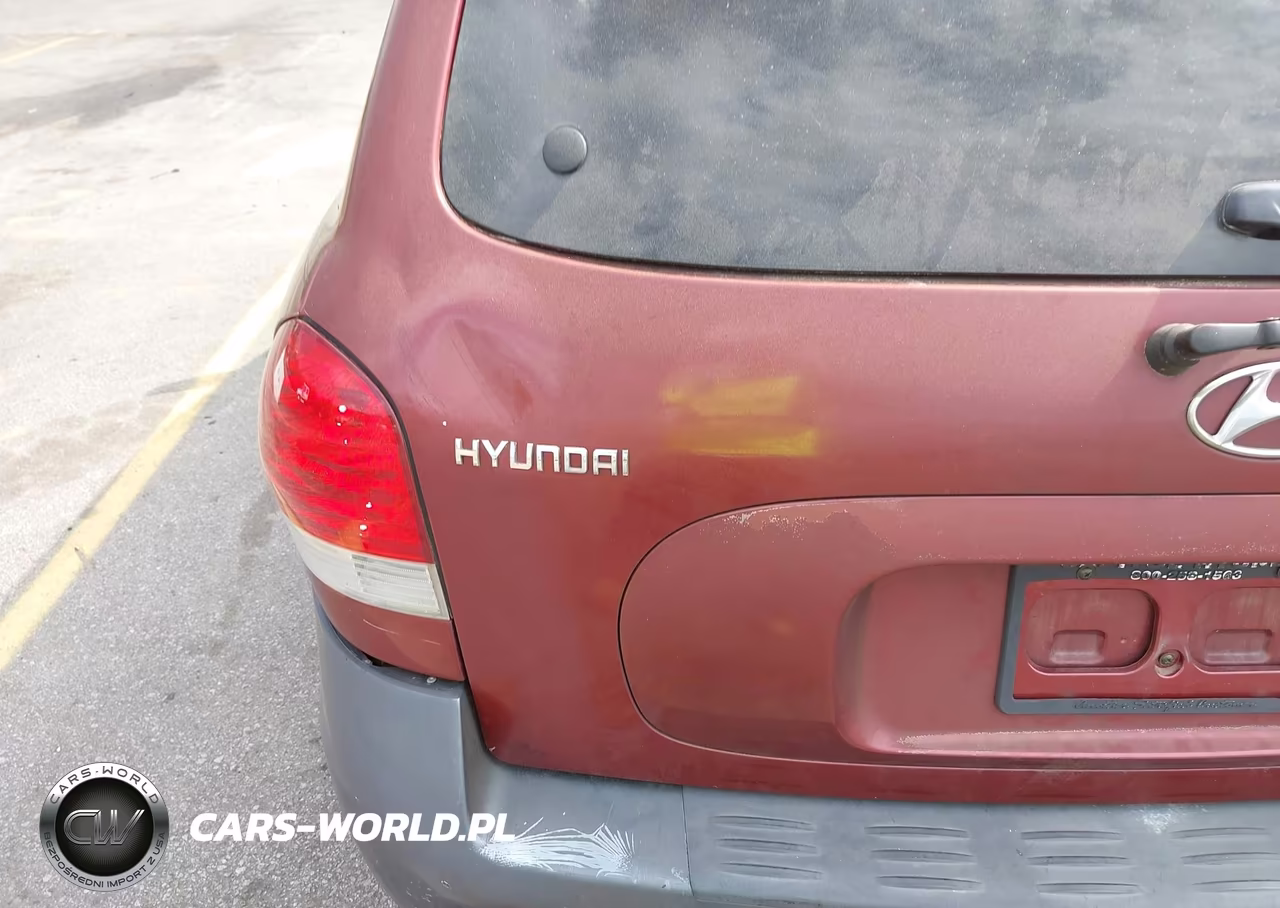 2005 Hyundai Santa Fe Gls-Lx VIN:KM8SC13E45U863117 - 12