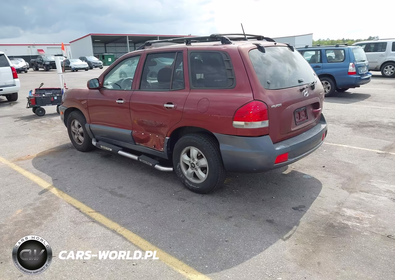 2005 Hyundai Santa Fe Gls-Lx VIN:KM8SC13E45U863117 - 3