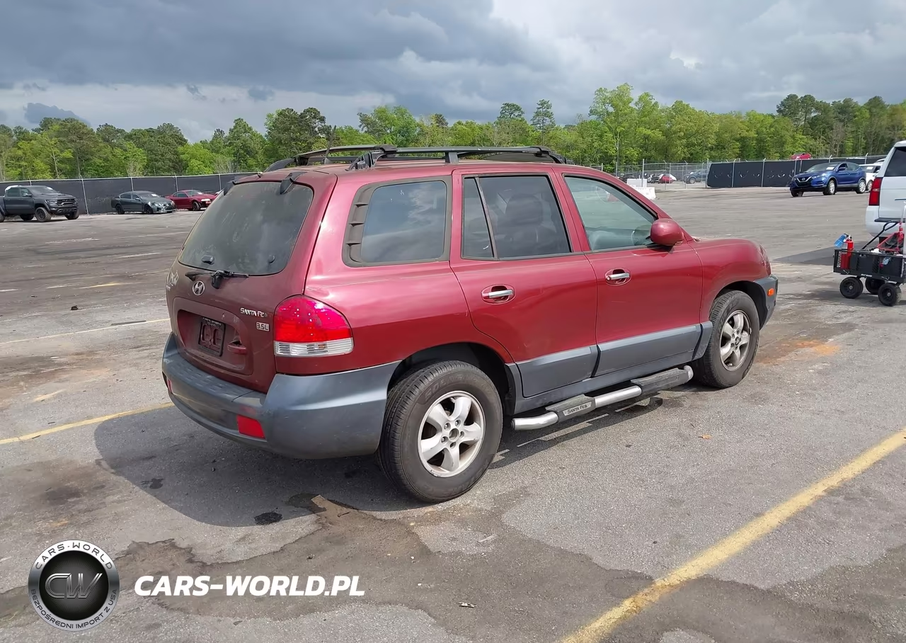 2005 Hyundai Santa Fe Gls-Lx VIN:KM8SC13E45U863117 - 4