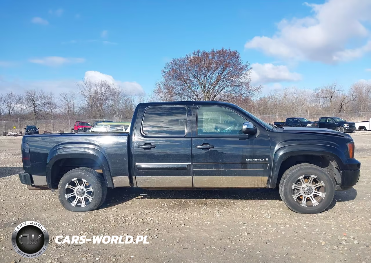 2009 GMC Sierra 1500 Denali VIN:3GTEK03269G226632 - 13