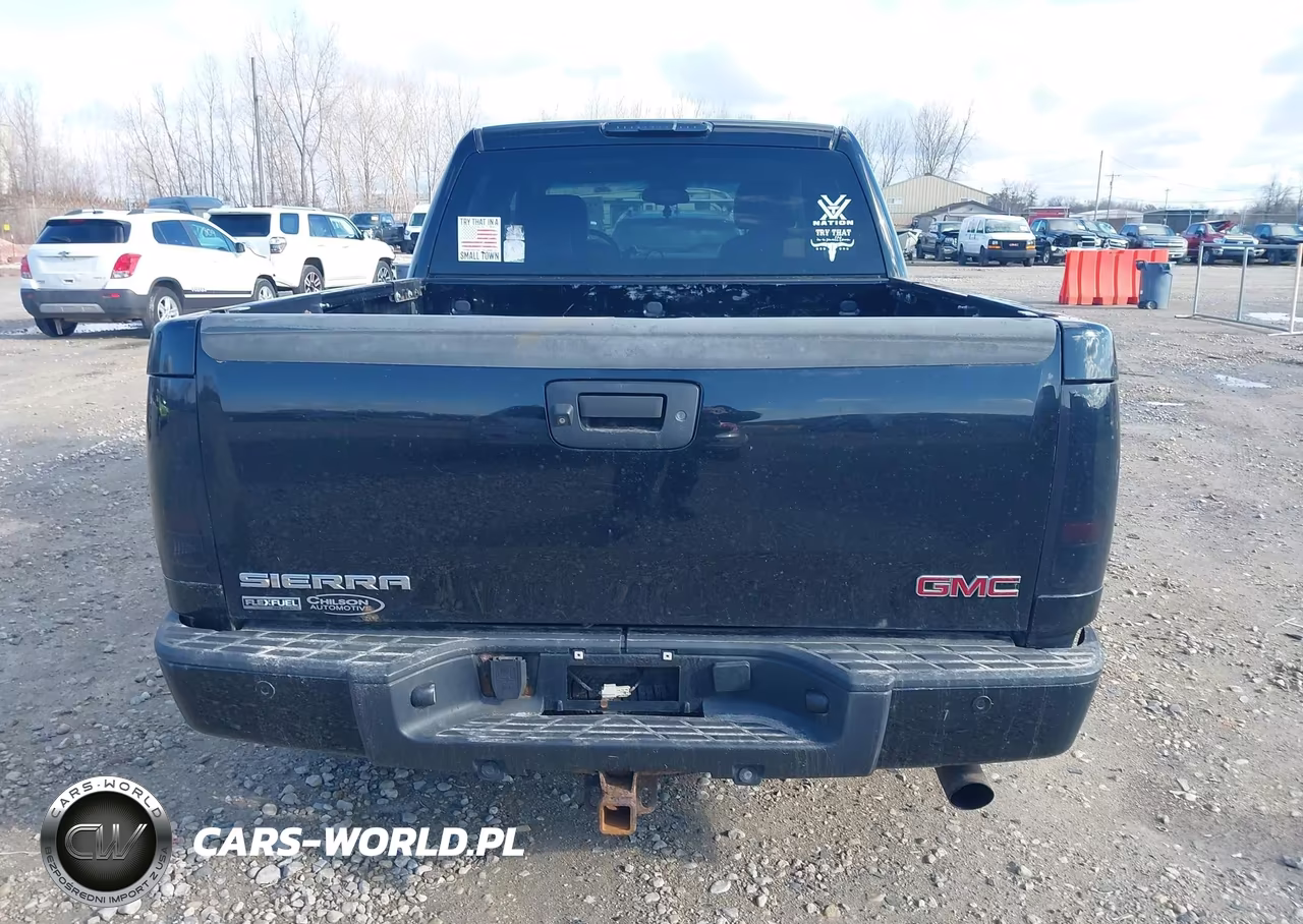 2009 GMC Sierra 1500 Denali VIN:3GTEK03269G226632 - 16