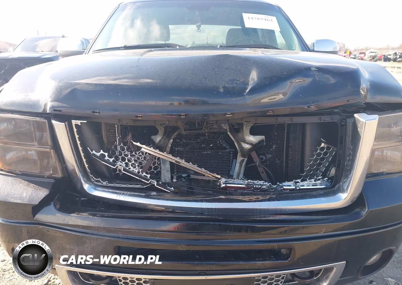 2009 GMC Sierra 1500 Denali VIN:3GTEK03269G226632 - 6