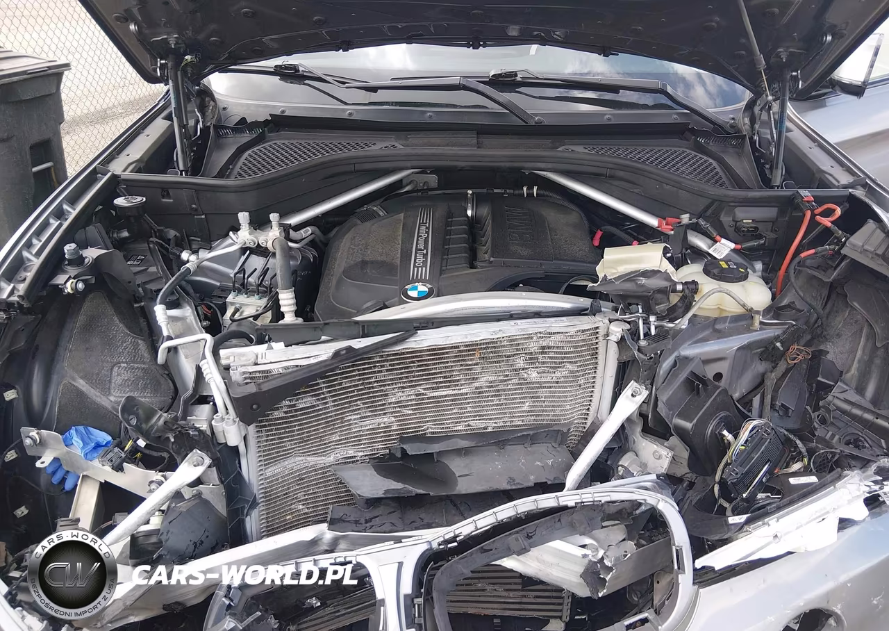 2019 BMW X6 Sdrive35I VIN:5UXKU0C54K0S97375 - 10