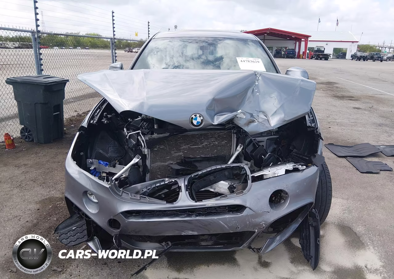 2019 BMW X6 Sdrive35I VIN:5UXKU0C54K0S97375 - 12