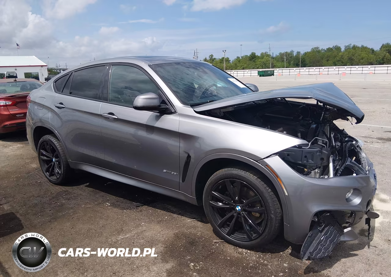 2019 BMW X6 Sdrive35I VIN:5UXKU0C54K0S97375 - 13