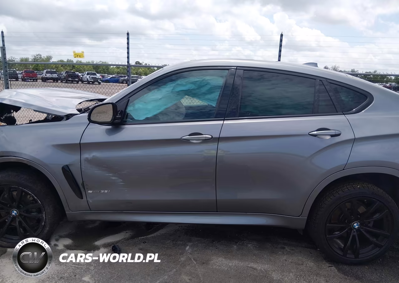 2019 BMW X6 Sdrive35I VIN:5UXKU0C54K0S97375 - 14