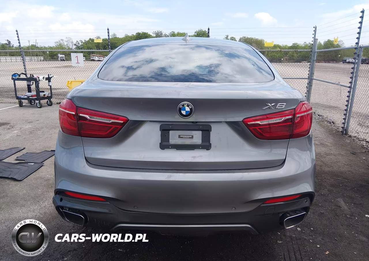 2019 BMW X6 Sdrive35I VIN:5UXKU0C54K0S97375 - 16