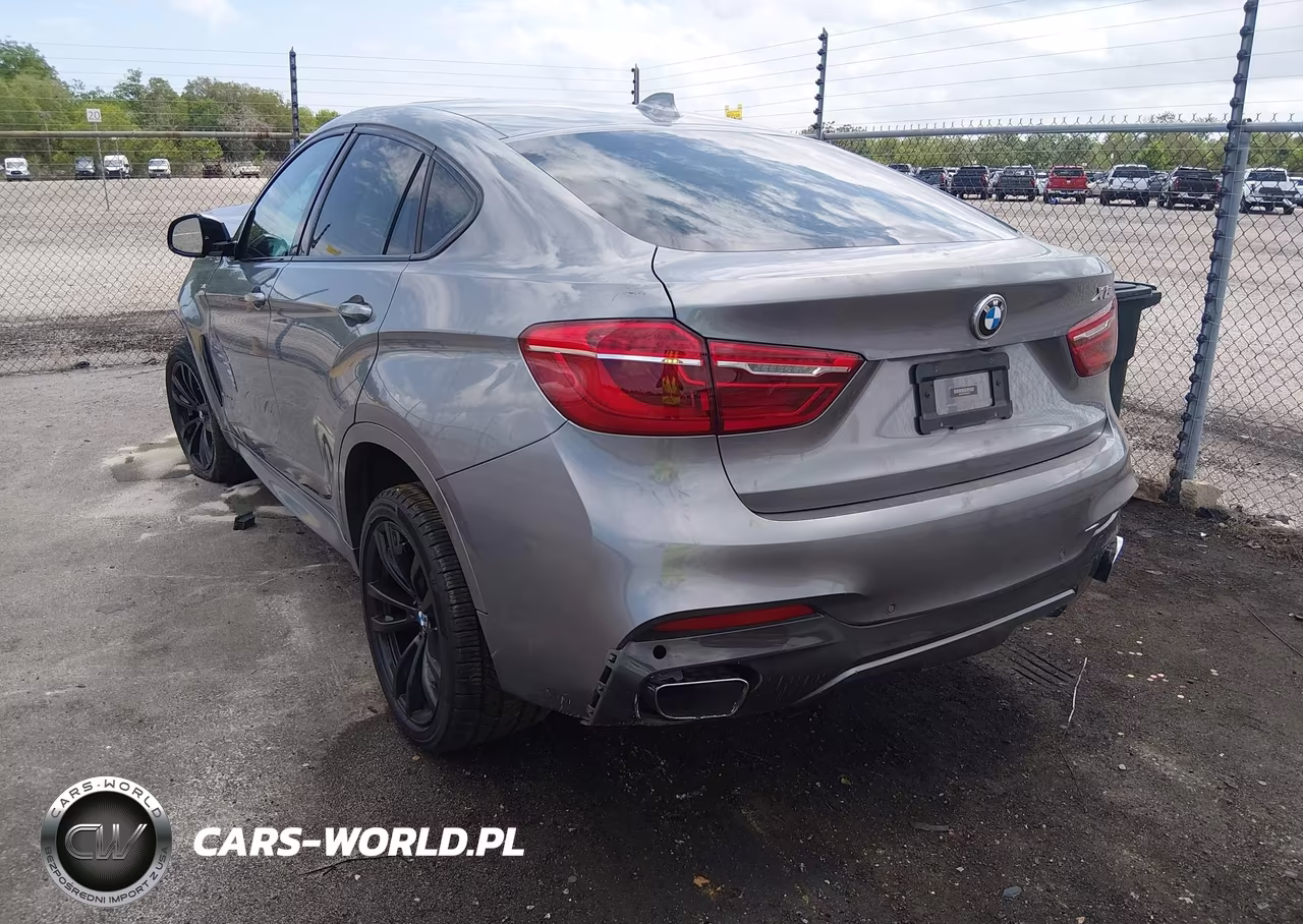 2019 BMW X6 Sdrive35I VIN:5UXKU0C54K0S97375 - 3