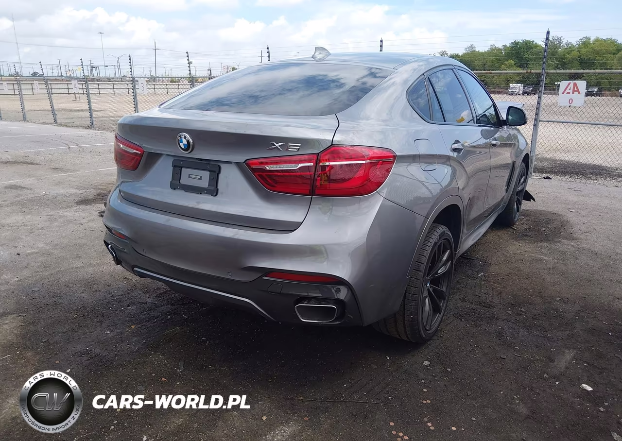 2019 BMW X6 Sdrive35I VIN:5UXKU0C54K0S97375 - 4
