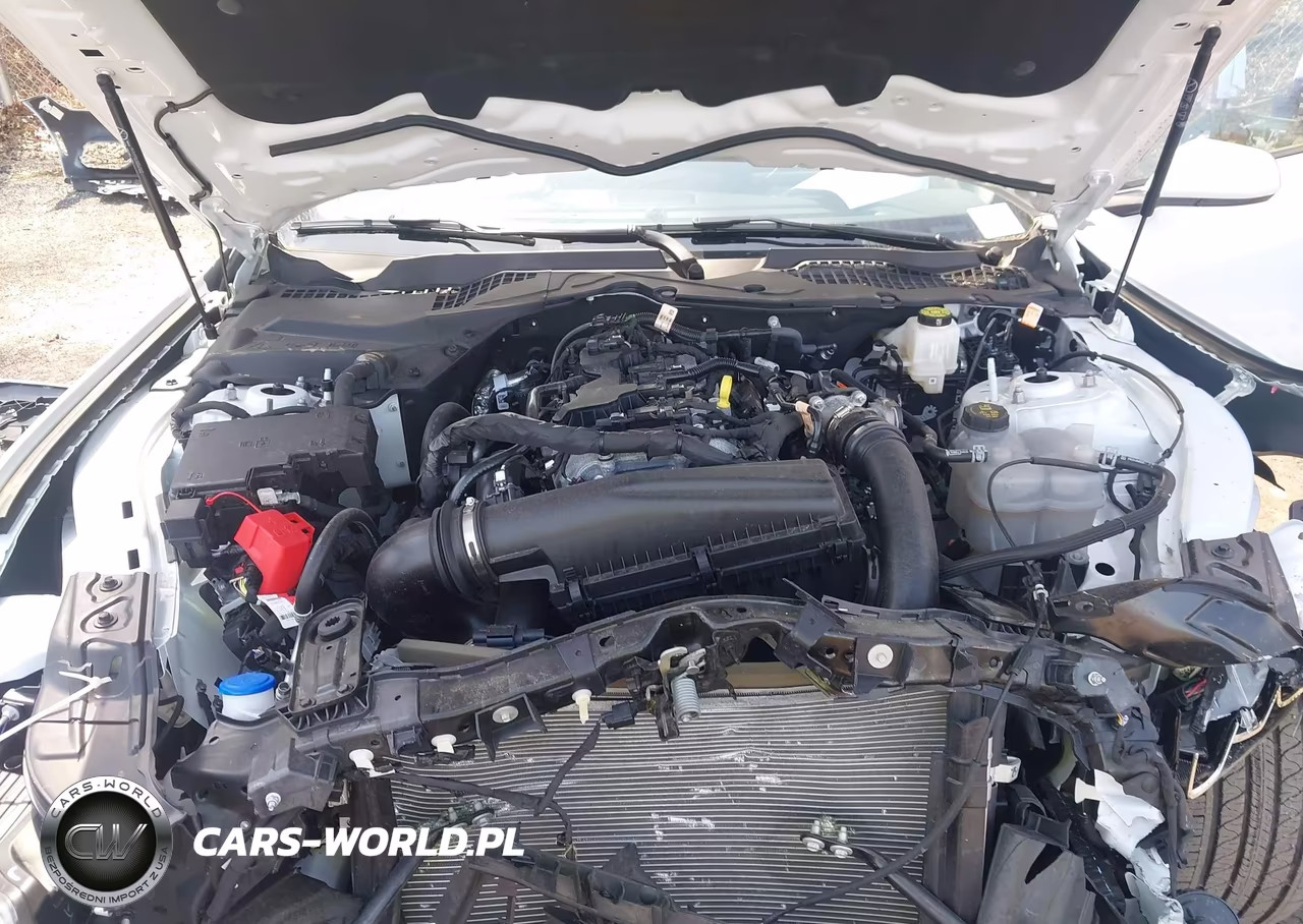 2024 Ford Mustang Ecoboost Fastback VIN:1FA6P8TH7R5141031 - 10