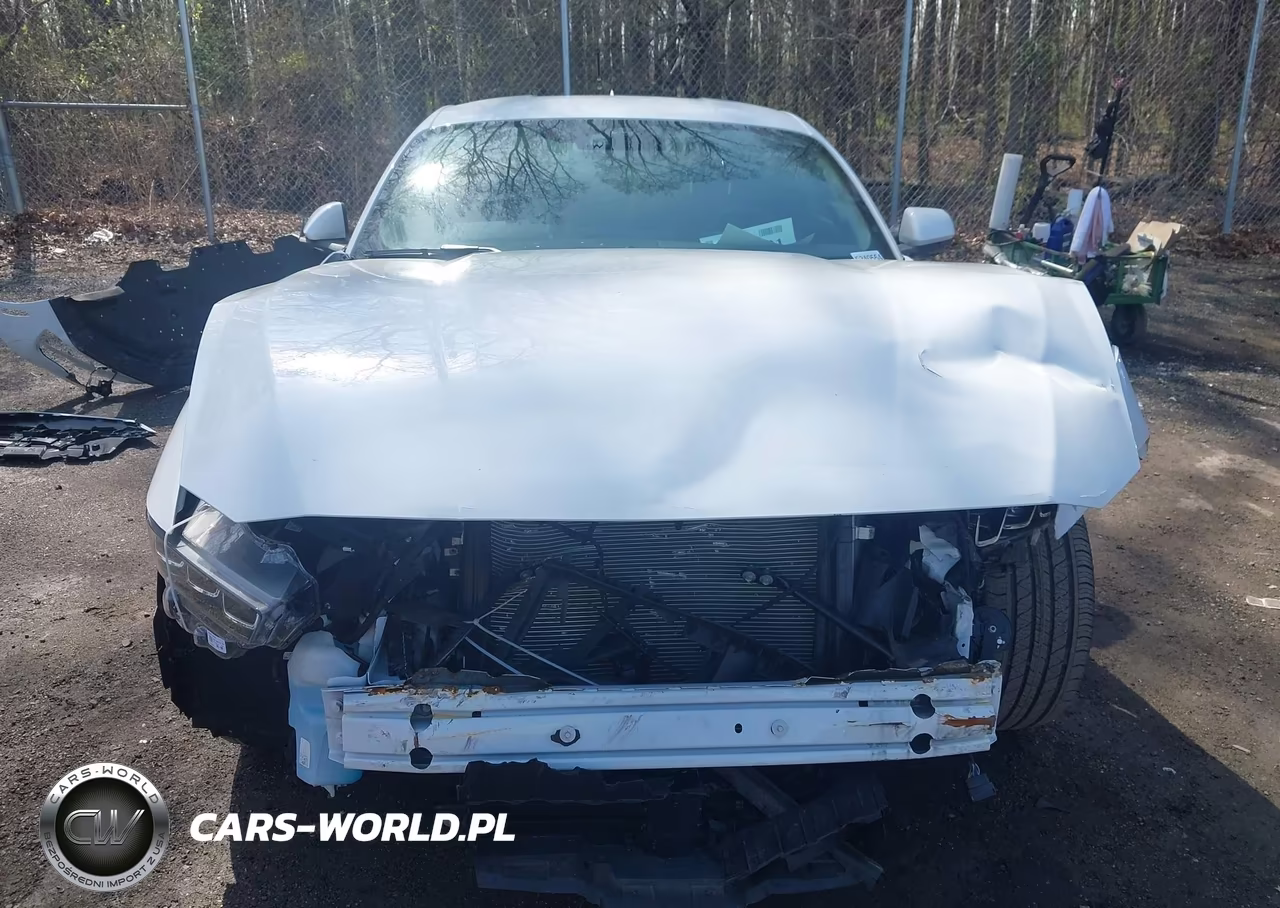 2024 Ford Mustang Ecoboost Fastback VIN:1FA6P8TH7R5141031 - 12