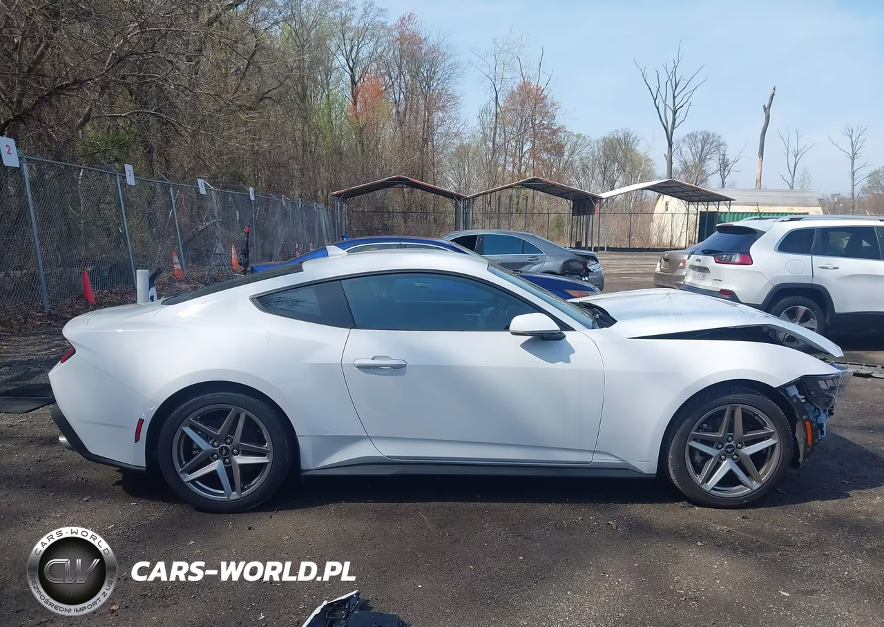 2024 Ford Mustang Ecoboost Fastback VIN:1FA6P8TH7R5141031 - 13