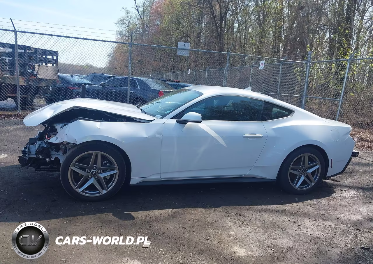 2024 Ford Mustang Ecoboost Fastback VIN:1FA6P8TH7R5141031 - 14