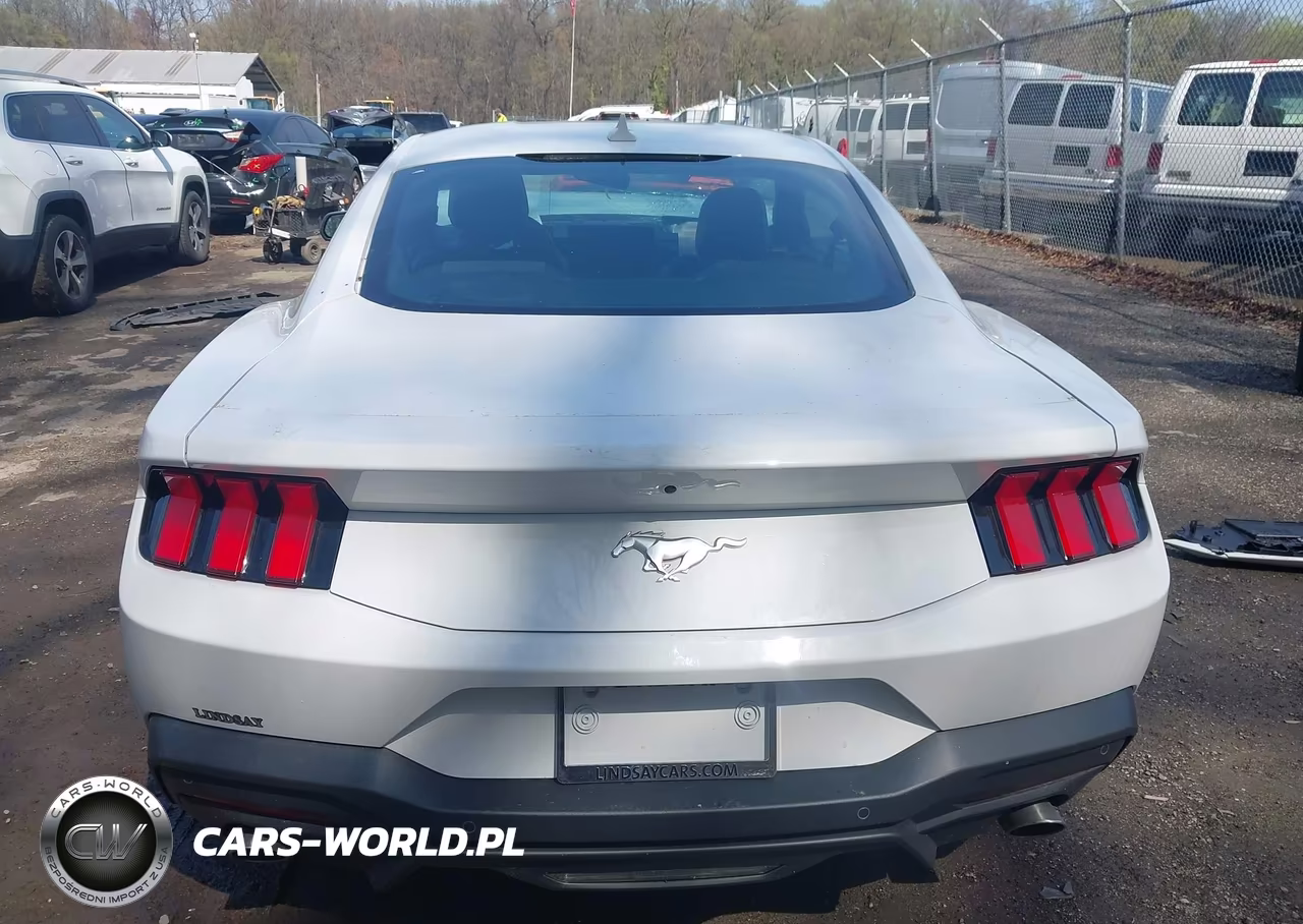 2024 Ford Mustang Ecoboost Fastback VIN:1FA6P8TH7R5141031 - 16