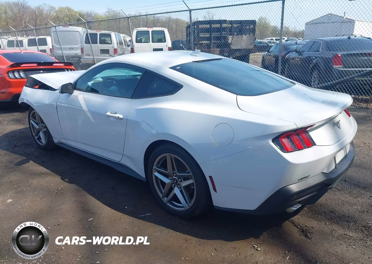 2024 Ford Mustang Ecoboost Fastback VIN:1FA6P8TH7R5141031 - 3