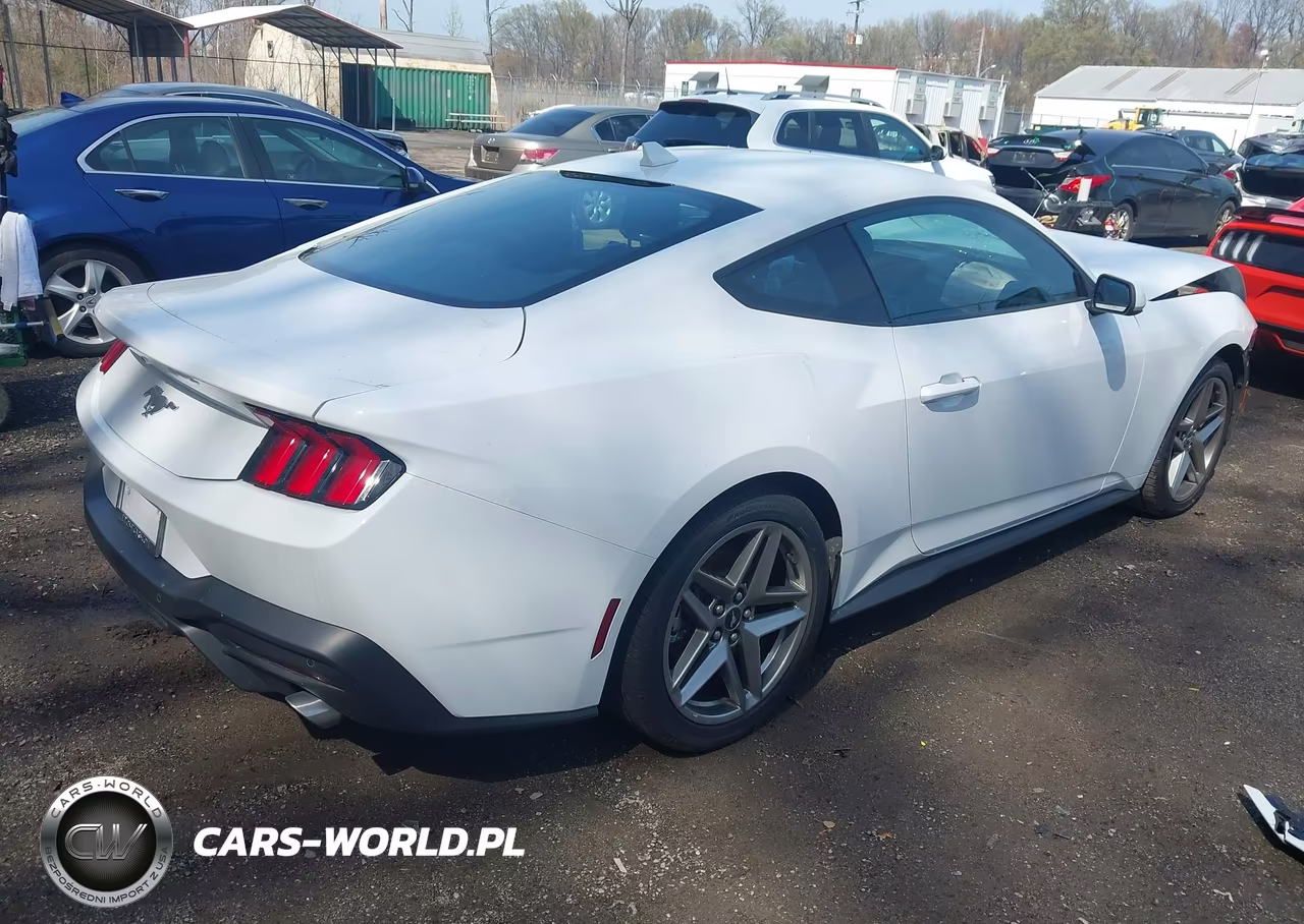 2024 Ford Mustang Ecoboost Fastback VIN:1FA6P8TH7R5141031 - 4