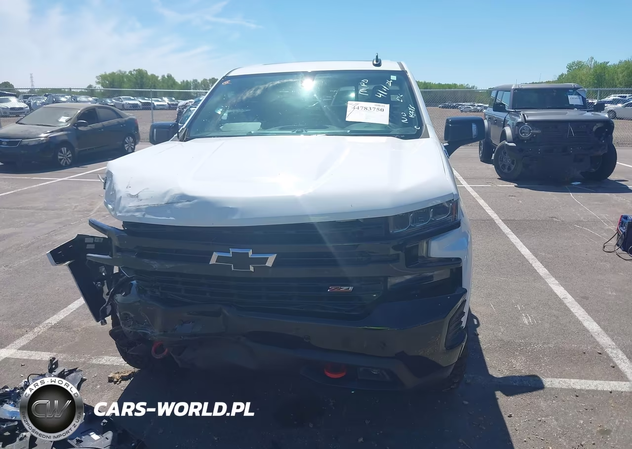 2019 Chevrolet Silverado 1500 Lt Trail Boss VIN:3GCPYFED4KG226868 - 12
