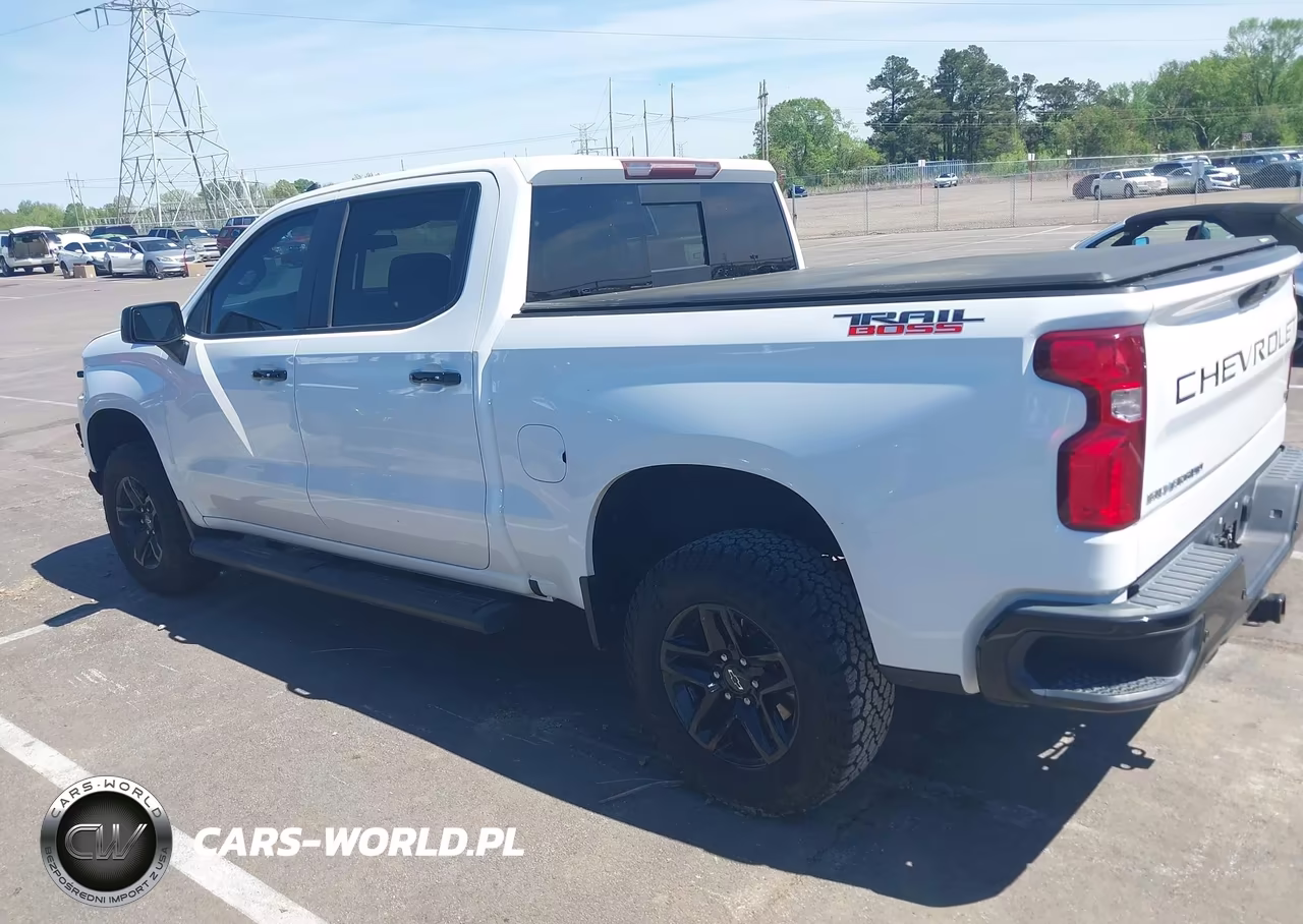 2019 Chevrolet Silverado 1500 Lt Trail Boss VIN:3GCPYFED4KG226868 - 14