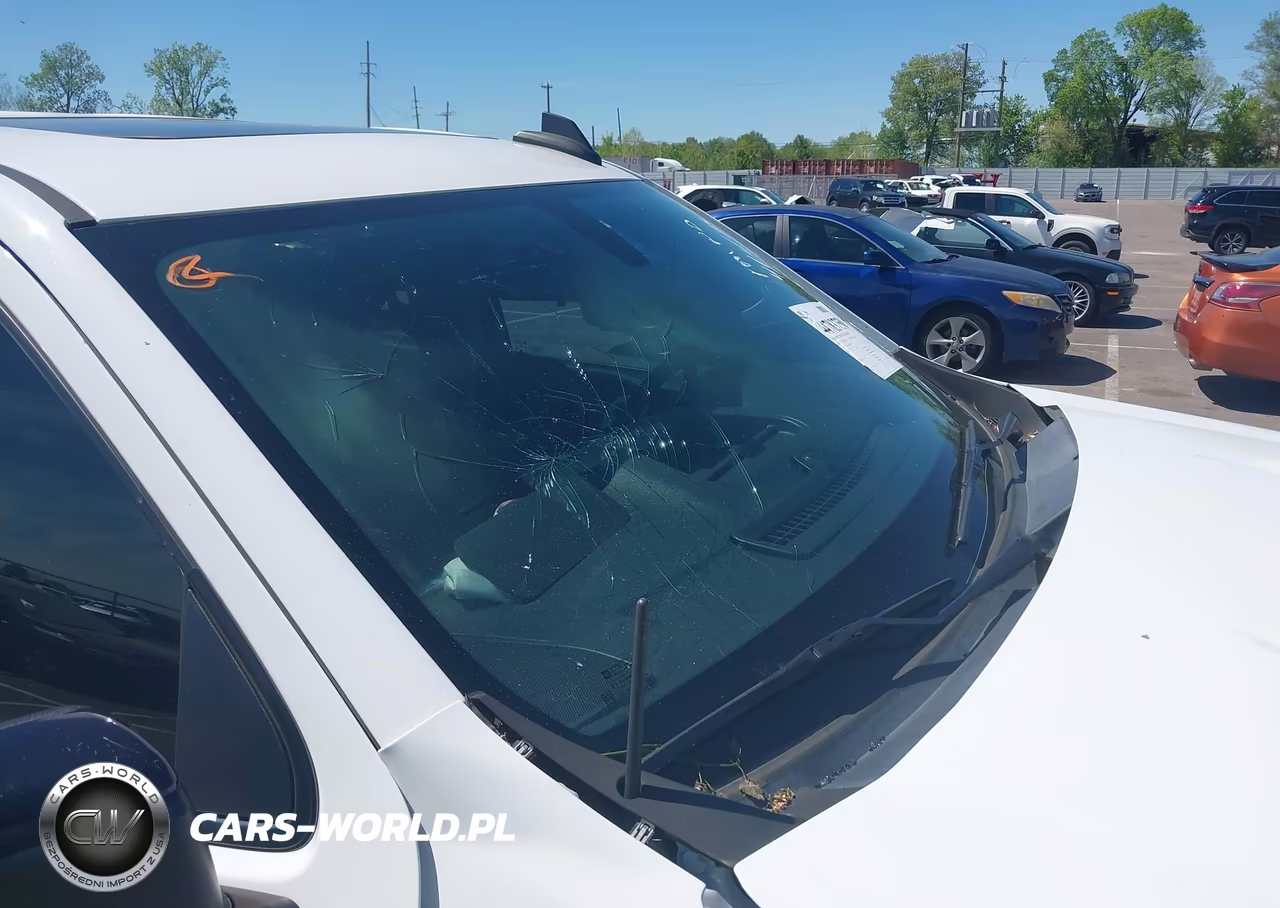 2019 Chevrolet Silverado 1500 Lt Trail Boss VIN:3GCPYFED4KG226868 - 19