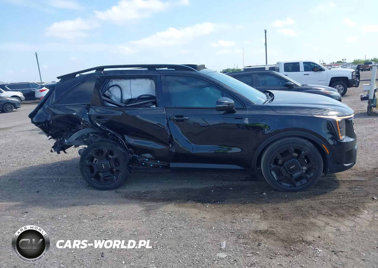 2024 Kia Sorento X-Line Ex VIN:5XYRHDJF3RG267473 - 14