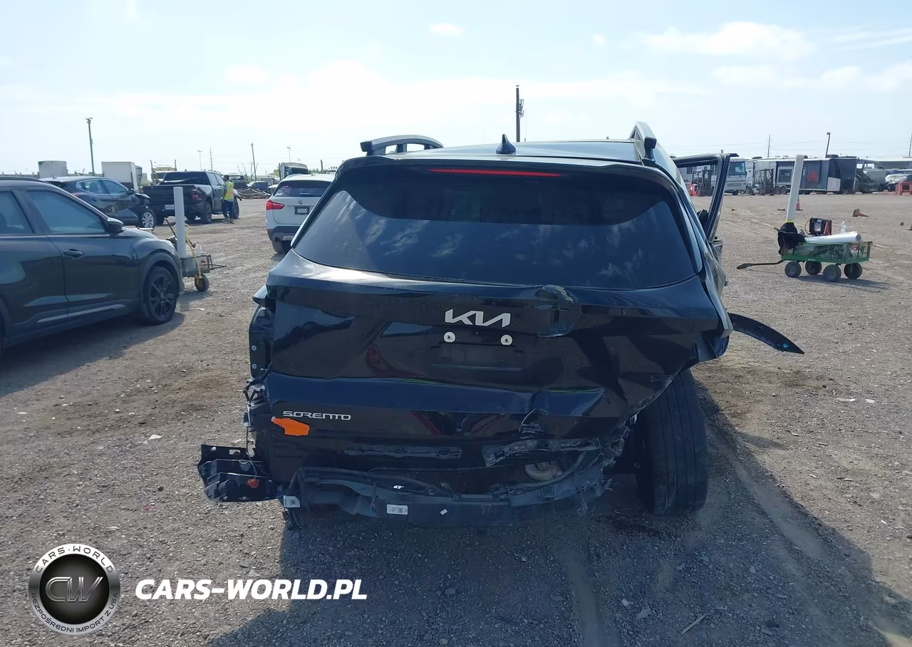 2024 Kia Sorento X-Line Ex VIN:5XYRHDJF3RG267473 - 17