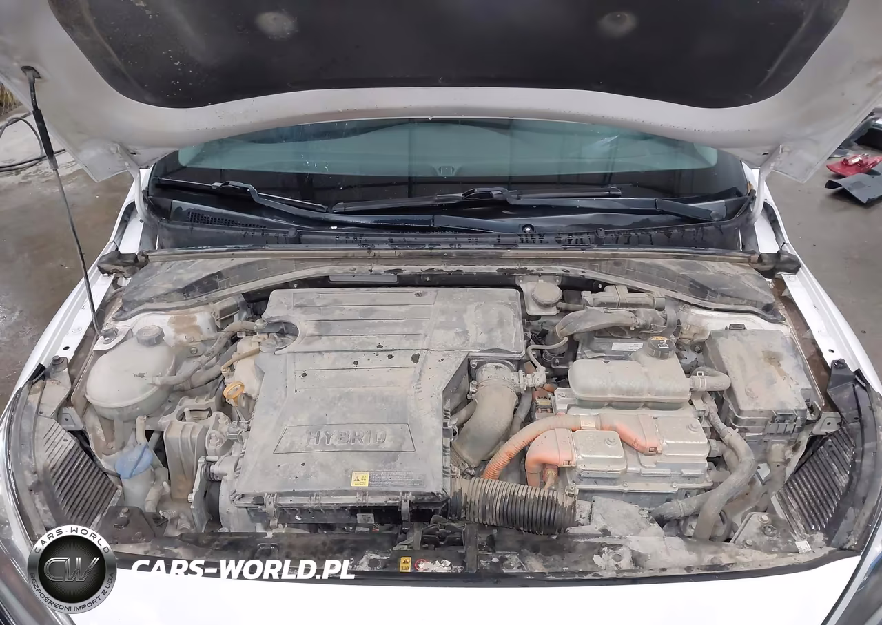 2018 Hyundai Ioniq Hybrid Sel VIN:KMHC75LC7JU065994 - 10