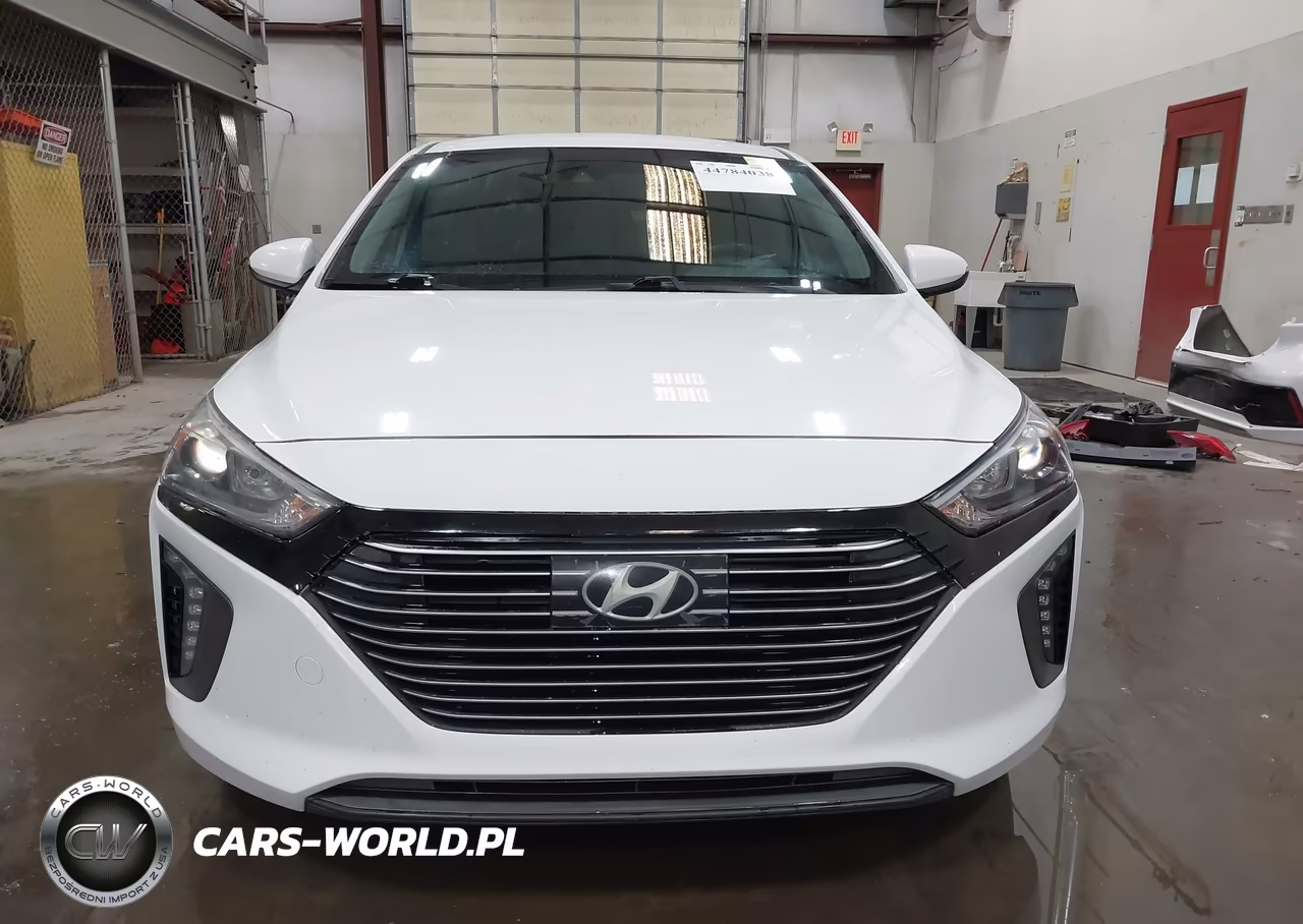 2018 Hyundai Ioniq Hybrid Sel VIN:KMHC75LC7JU065994 - 13