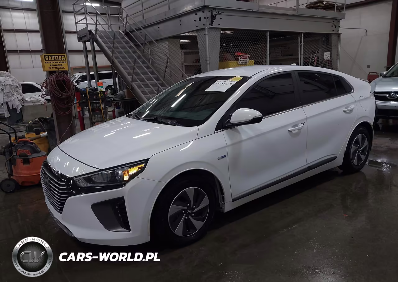 2018 Hyundai Ioniq Hybrid Sel VIN:KMHC75LC7JU065994 - 2