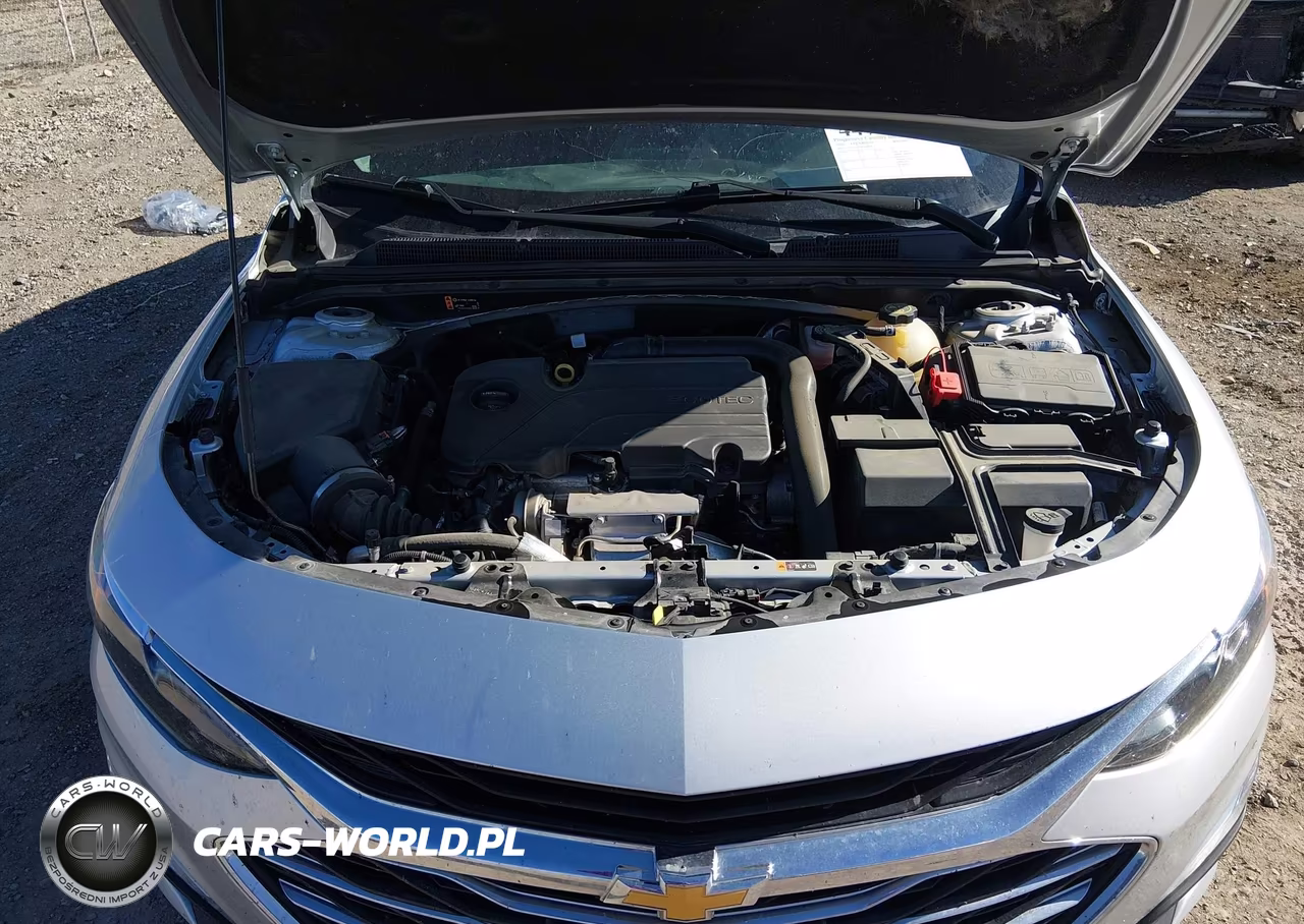 2022 Chevrolet Malibu Fwd 1Fl VIN:1G1ZC5ST0NF164428 - 10