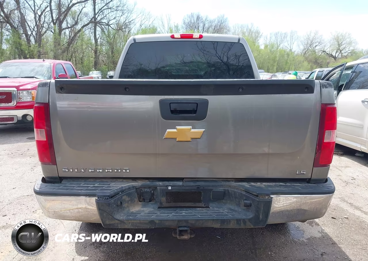 2013 Chevrolet Silverado 1500 Ls VIN:3GCPCREA6DG181585 - 17