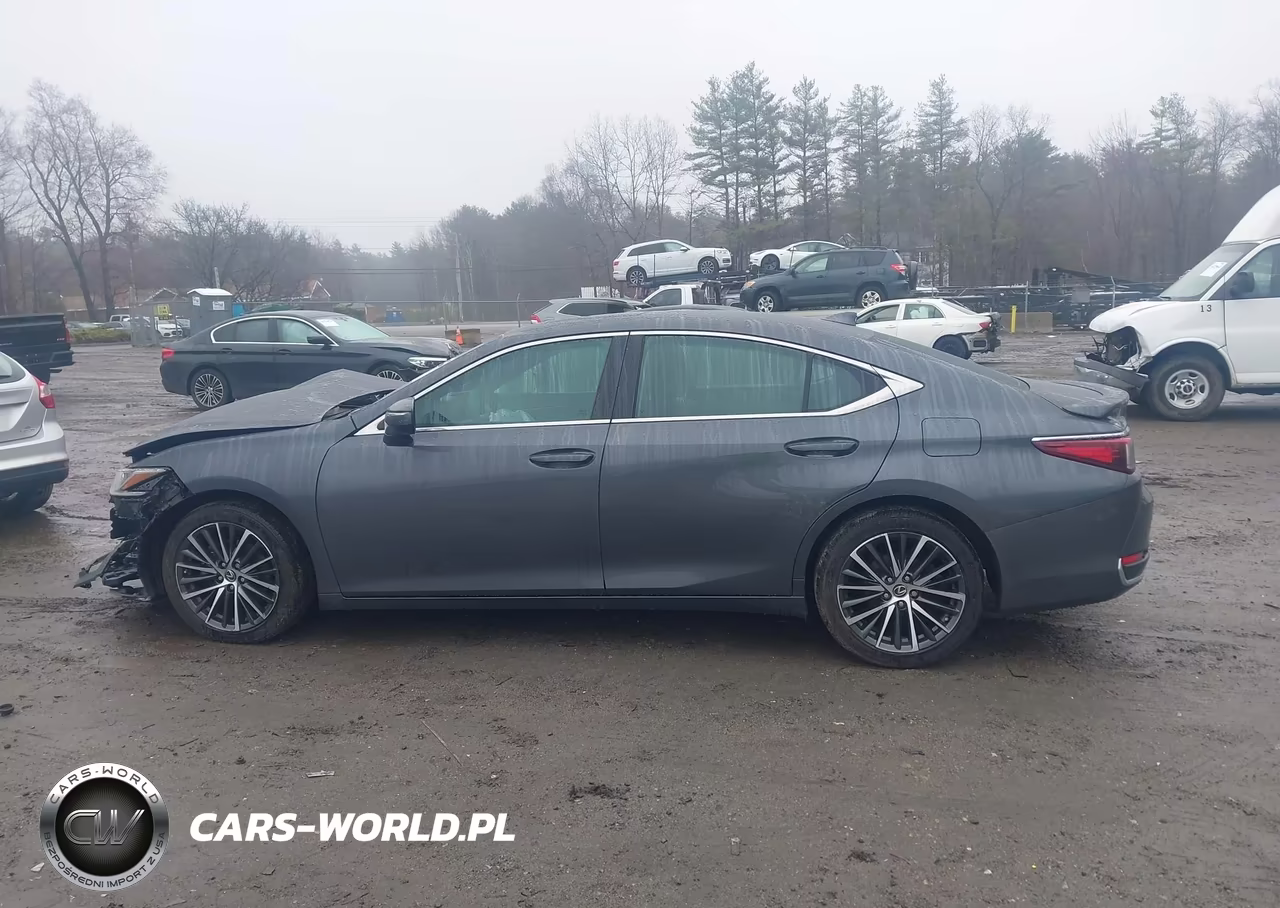 2023 Lexus Es 300H VIN:58ADA1C17PU035814 - 14