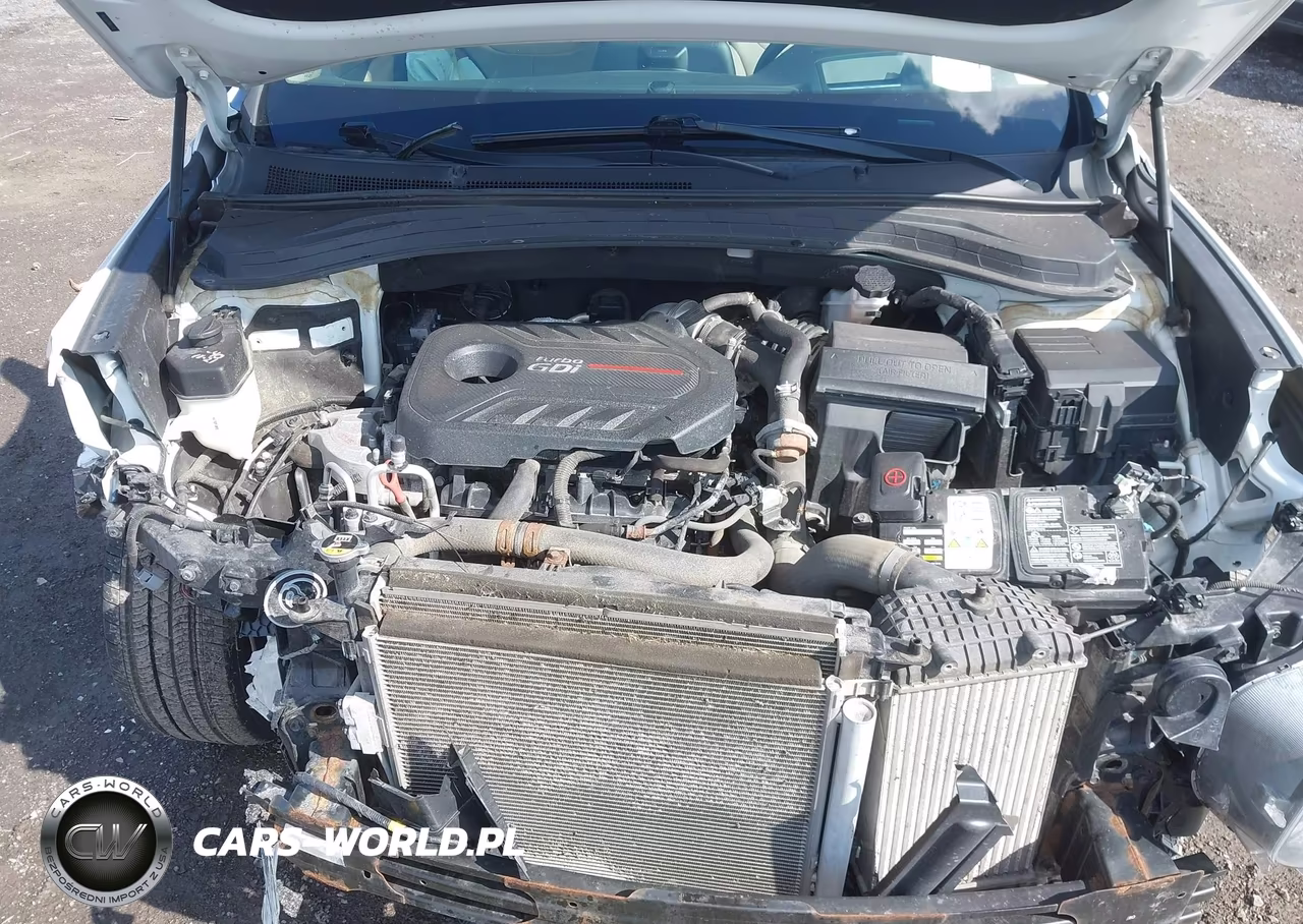 2019 Hyundai Santa Fe Ultimate 2.0T VIN:5NMS5CAA7KH051758 - 10