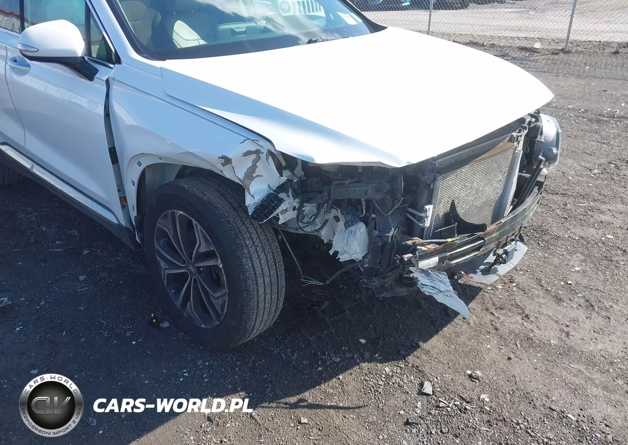 2019 Hyundai Santa Fe Ultimate 2.0T VIN:5NMS5CAA7KH051758 - 6