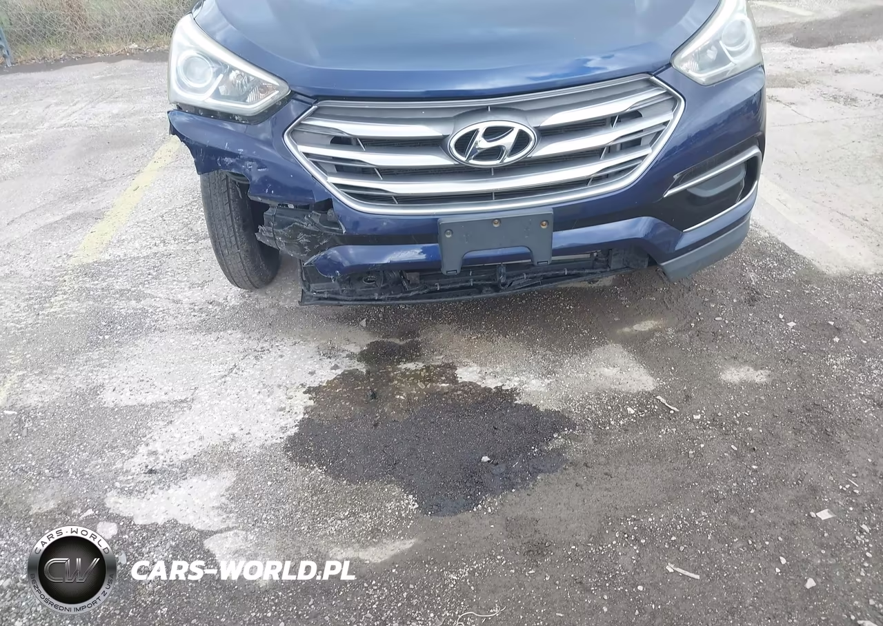 2017 Hyundai Santa Fe Sport 2.4L VIN:5XYZT3LB3HG437297 - 17