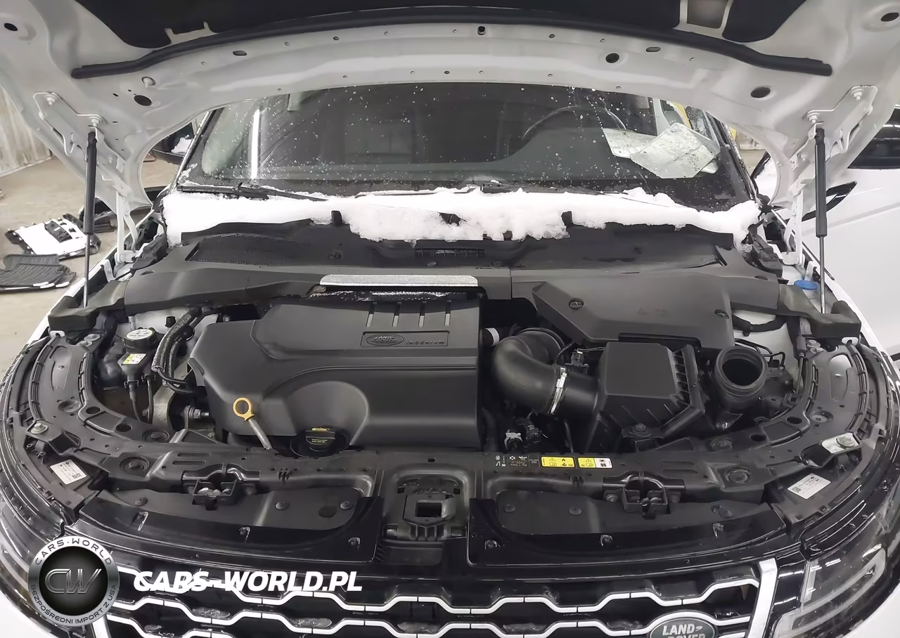 2020 Land Rover Range Rover Evoque Se VIN:SALZP2FX0LH060328 - 10